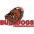 Bulldogs FC (DEN)