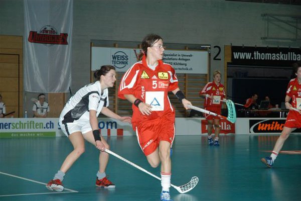 Schudel