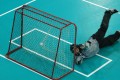 Der Penalty zappelt im Netz