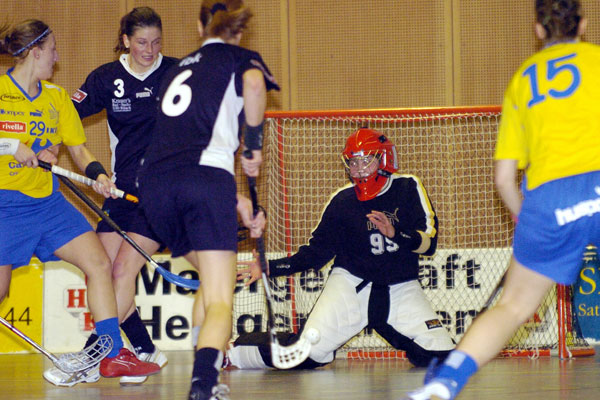 Häfelfinger