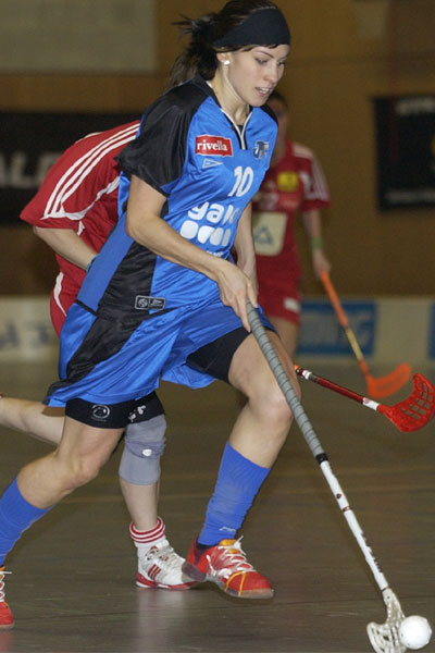 Saukko