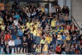 Die gelbblauen Fans im Freudentaumel