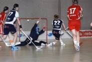 CH-Cup Frauen: Red Ants mit Kantersieg gegen Wizards