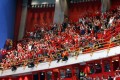 Schweizer Fans in WM-Laune