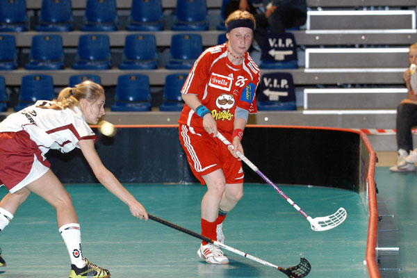 Niemenmaa