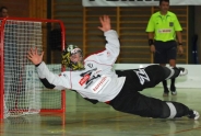 Hauptproben