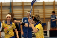 Interviews mit Anderegg und Hjelm