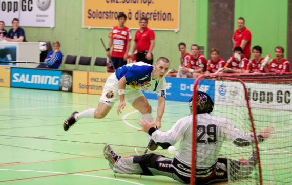 Alligators hoffnungsvoller Saisonstart