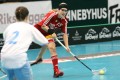 Hofstetter mit dem 50. Nationalspiel