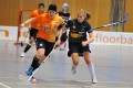 Arpagaus im Laufduell mit Wiki