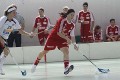 Mirta Limacher