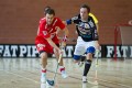 Dunkel vs Skalik