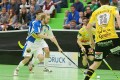 Kapanen einhändig