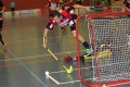 Friolet im Anflug Richtung Tor