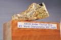 Asics Golden Shoe