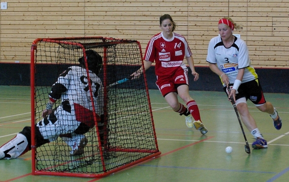 Sparring-Partner für Deutschland