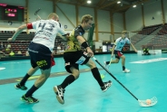 EuroFloorball Cup 2013