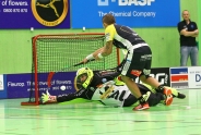 GC: 3-5-Heimniederlage gegen Tigers