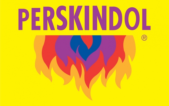 PERSKINDOL Sportmedkurs