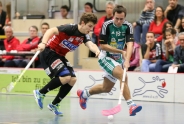 Der Meister stoppt Alligator