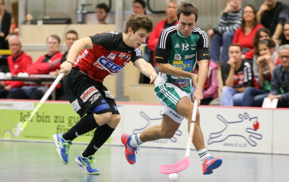 Der Meister stoppt Alligator Der Meister stoppt Alligator