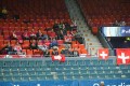 Schweizer Fans