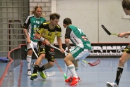 Derby-Niederlage für die Tigers