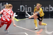 Anna Jakobsson: The goalscorer