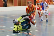 Helsingborg am 21. Champy Cup