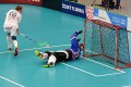 Mendelin mit dem entscheidenden Versuch