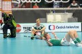 Wiler am Boden