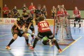 Basel Regio vs Riders Dürnten