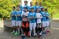 Wild Goose Wil-Gansingen