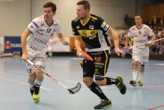 Knapper Tigers-Sieg im Derby