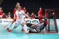 Polen Tschechien