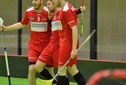 Vipers erneut in den Halbfinals