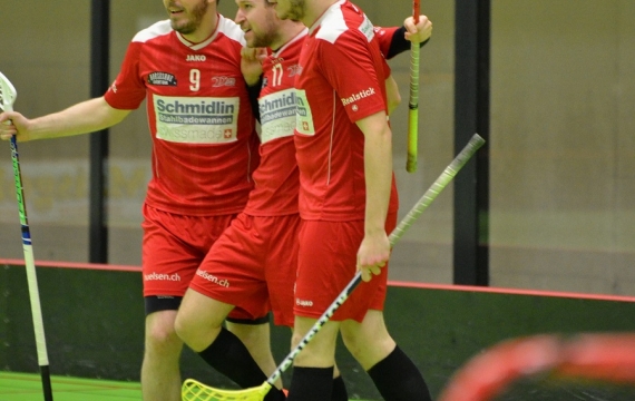 Vipers erneut in den Halbfinals