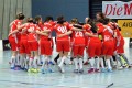 Die Red Lions bejubeln den Finaleinzug