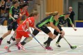 Red Lions vs Berner Oberland