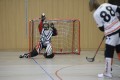 Goalie Training Days 2016