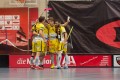Die Tigers bejubeln einen Treffer