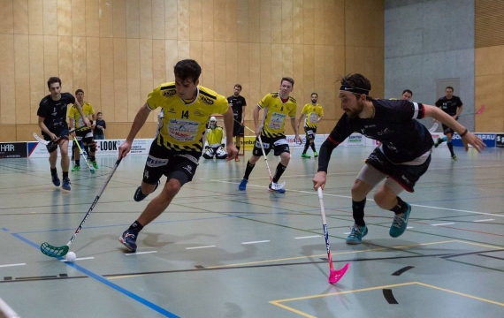 Vorschau Playoffs/Playouts 1. Liga, Gruppe 2