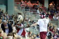 WM Maskottchen