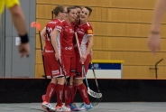 Red Lions mit Kontinuität