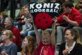 Die FBK-Fans geben alles