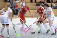Red Ants bei Zug in Torlaune