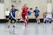 Red Lions wieder in den Playoffs