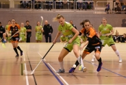 Skorps wieder gegen Red Ants