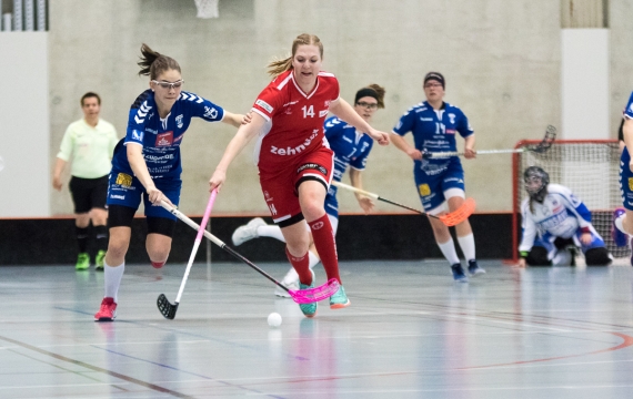 Red Lions wieder in den Playoffs