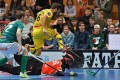 Gutknecht überspringt den Wolf